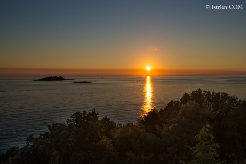 Sonnenuntergang mit Pinien in Vrsar - Istrien - Kroatien