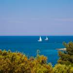 Blick durch Bäume aufs Meer in Istrien - Kroatien